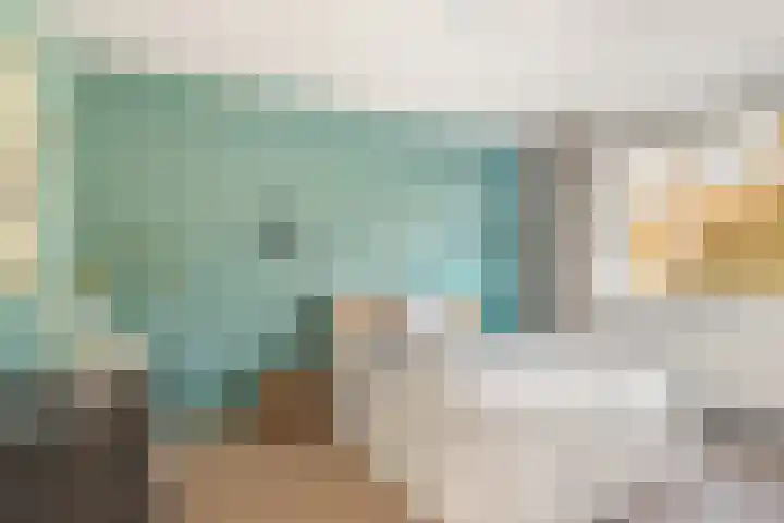 Bosvaren 12 Heiloo thumbnail 26
