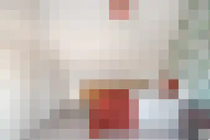 Bosvaren 12 Heiloo thumbnail 39