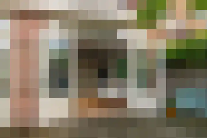 Bosvaren 12 Heiloo thumbnail 41