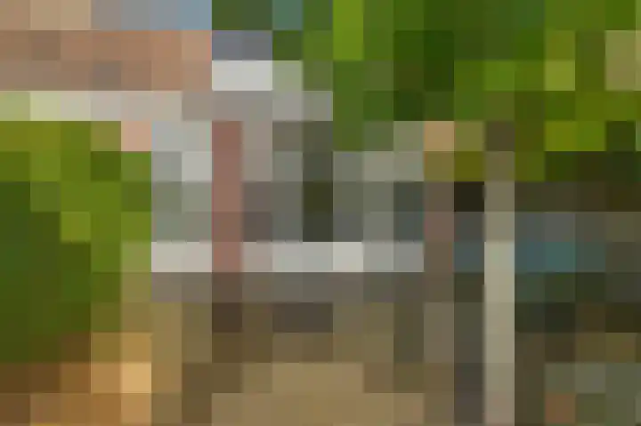 Bosvaren 12 Heiloo thumbnail 42