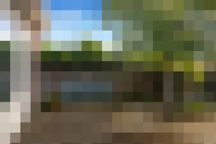 Bosvaren 12 Heiloo thumbnail 43
