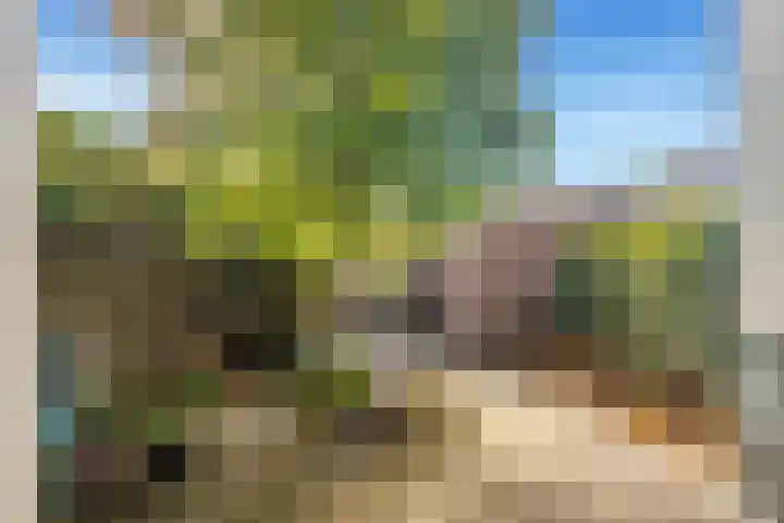 Bosvaren 12 Heiloo thumbnail 44