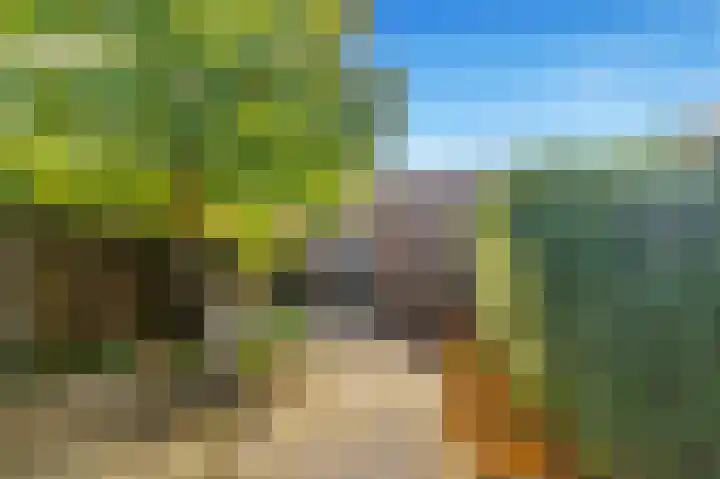Bosvaren 12 Heiloo thumbnail 45