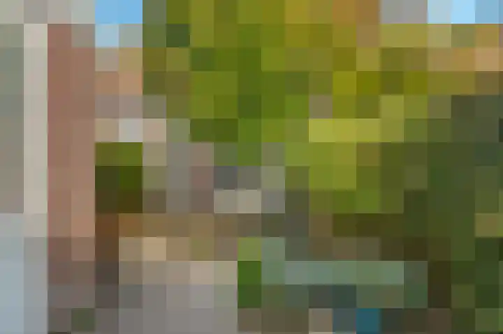 Bosvaren 12 Heiloo thumbnail 46