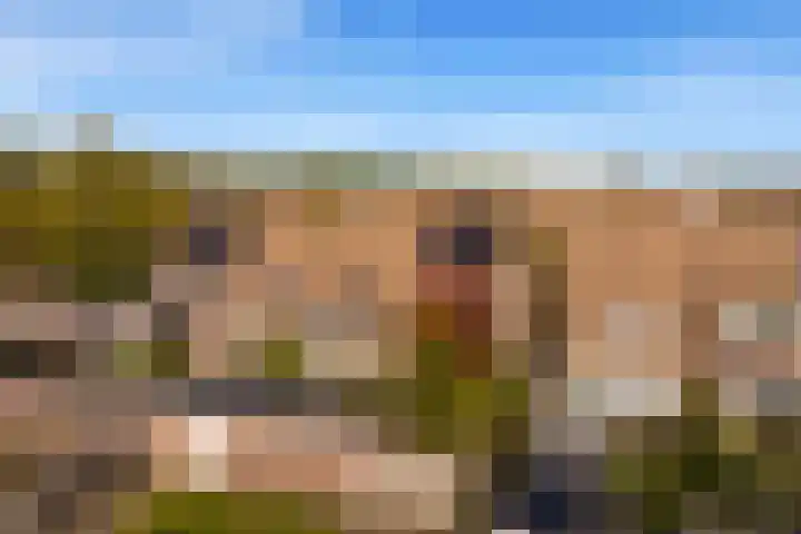 Bosvaren 12 Heiloo thumbnail 48