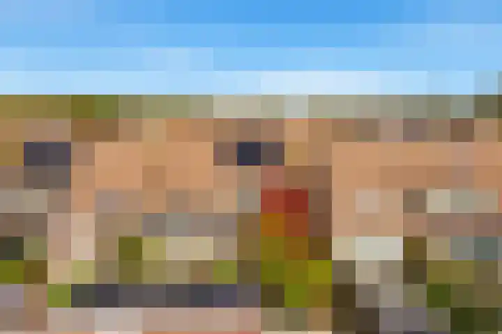 Bosvaren 12 Heiloo thumbnail 49