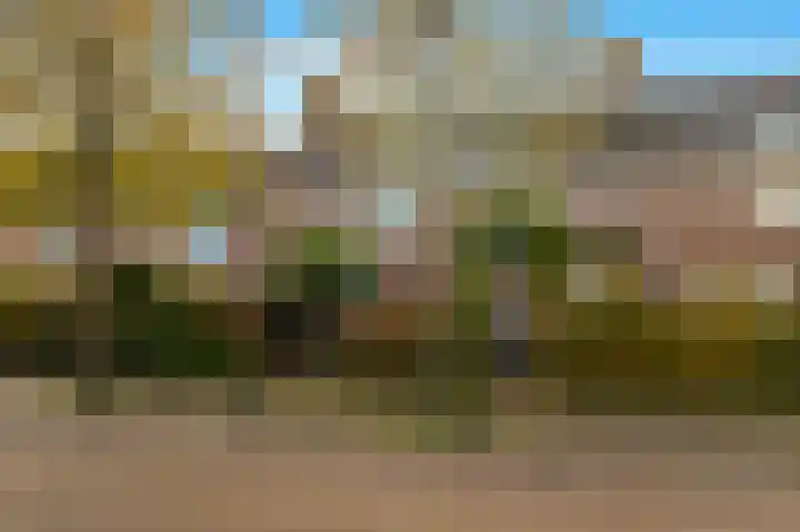 Bosvaren 12 Heiloo thumbnail 5