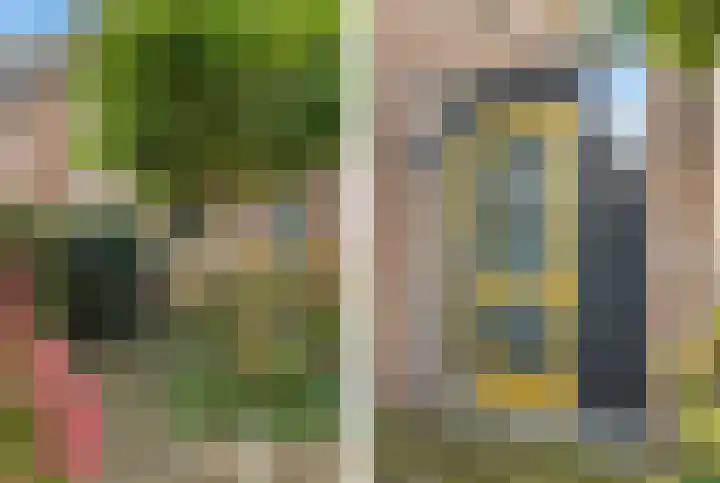 Bosvaren 12 Heiloo thumbnail 7