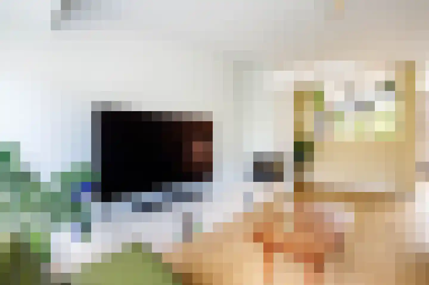 Bosveen 1 Nieuwerkerk aan den IJssel thumbnail 10