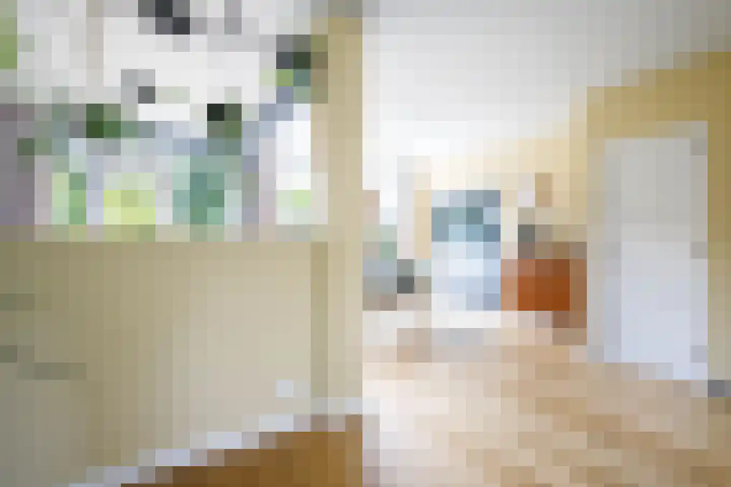 Bosveen 1 Nieuwerkerk aan den IJssel thumbnail 12