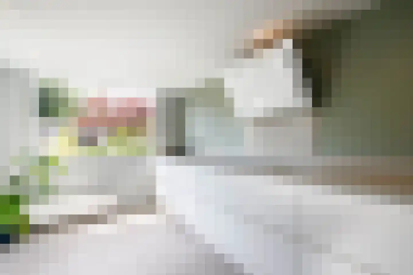 Bosveen 1 Nieuwerkerk aan den IJssel thumbnail 22