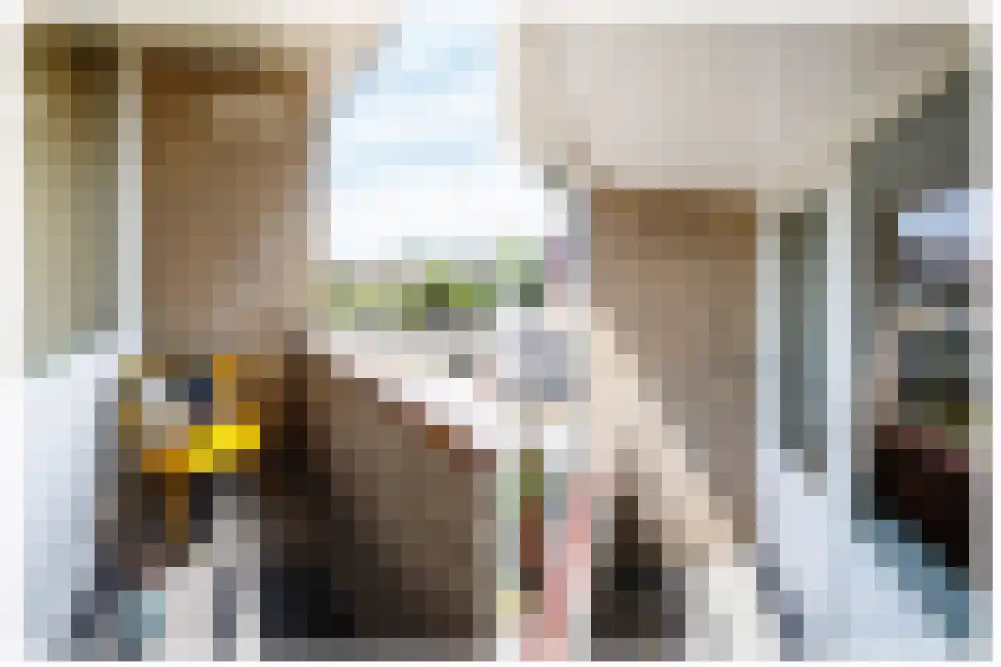 Bosveen 1 Nieuwerkerk aan den IJssel thumbnail 32