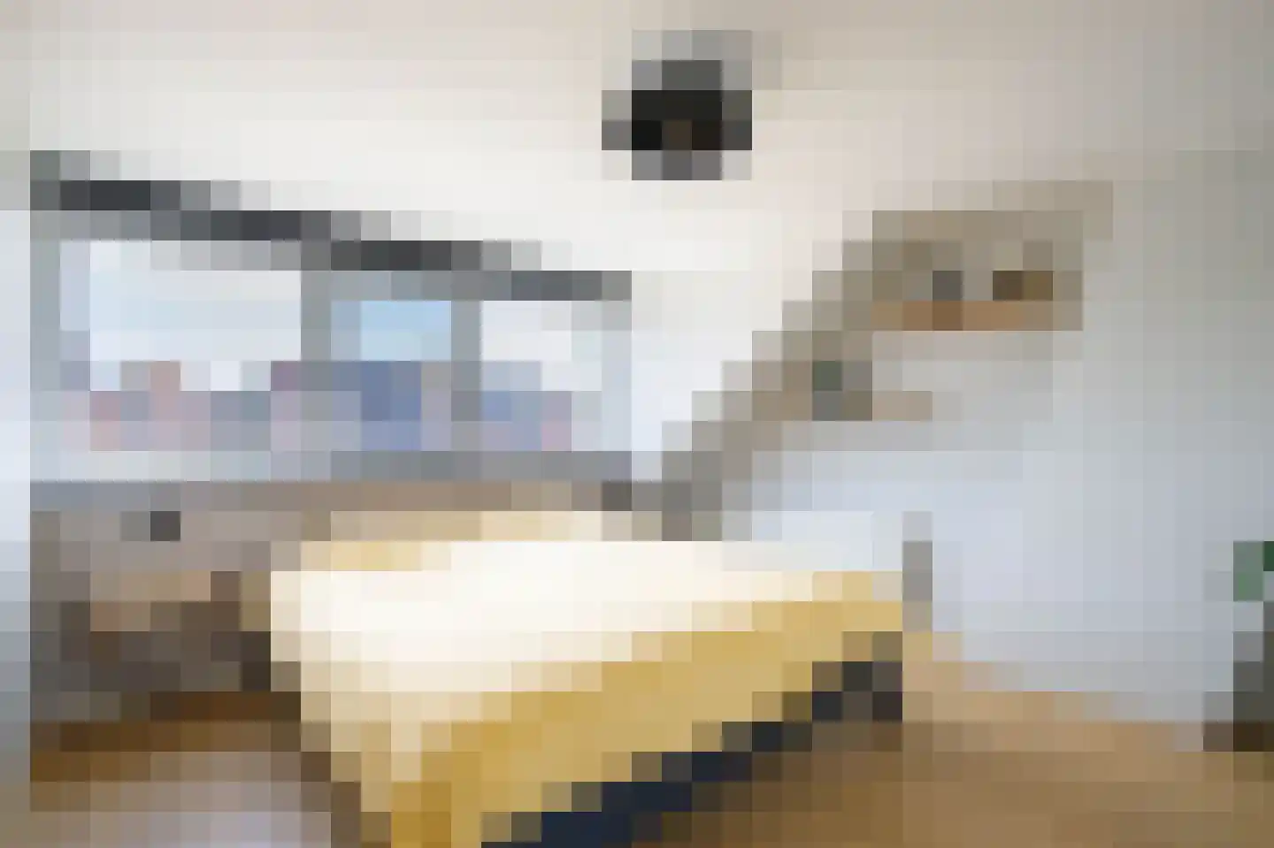 Bosveen 1 Nieuwerkerk aan den IJssel thumbnail 41