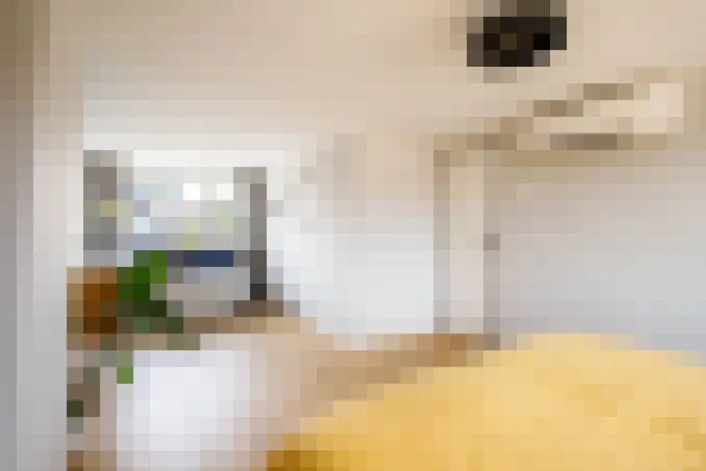 Bosveen 1 Nieuwerkerk aan den IJssel thumbnail 43