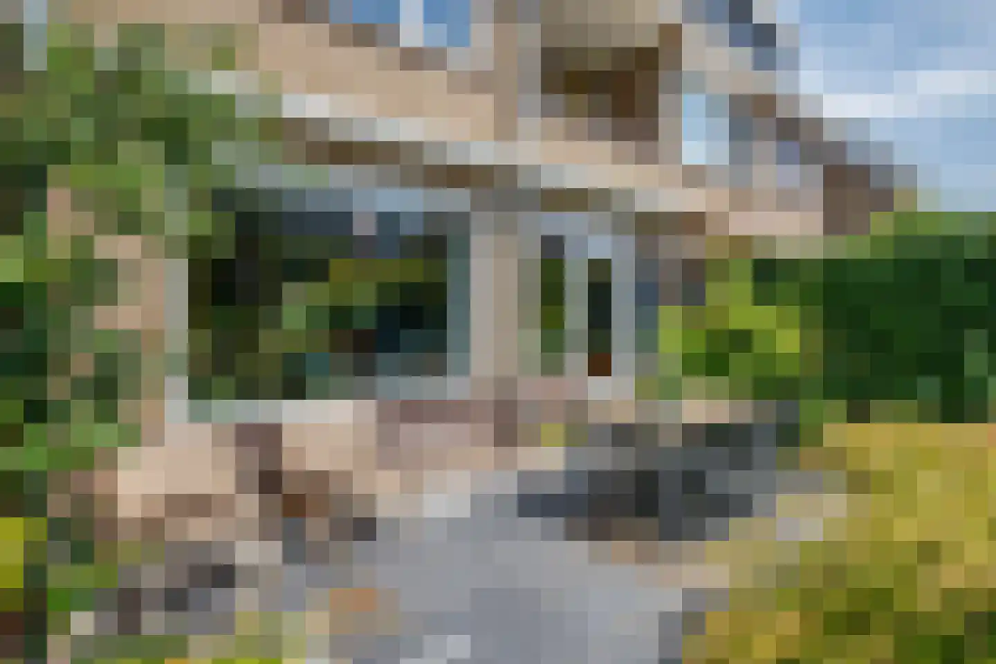 Bosveen 1 Nieuwerkerk aan den IJssel thumbnail 45