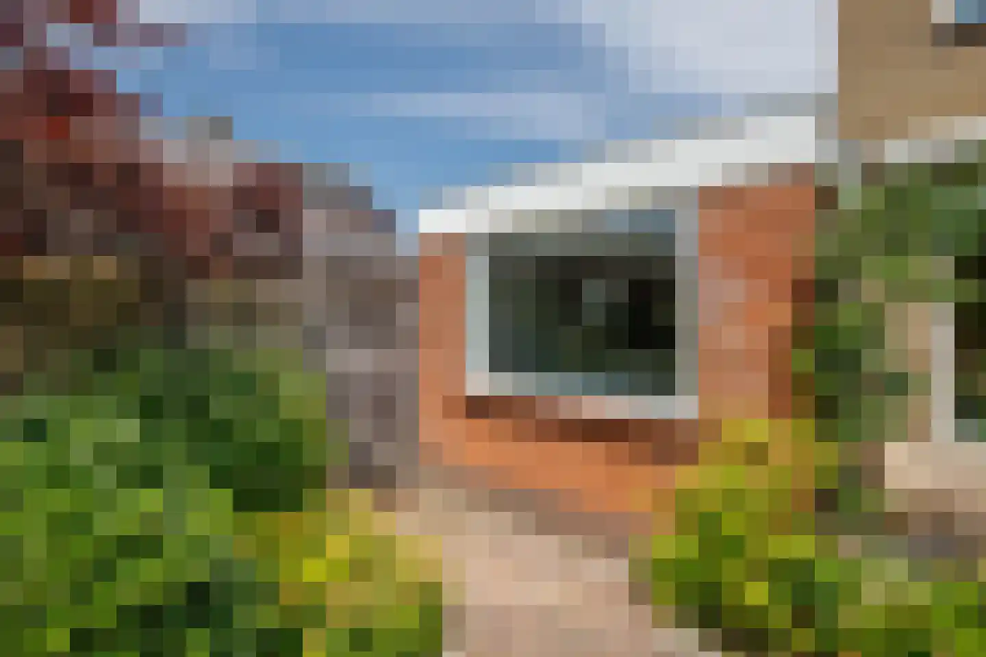 Bosveen 1 Nieuwerkerk aan den IJssel thumbnail 47