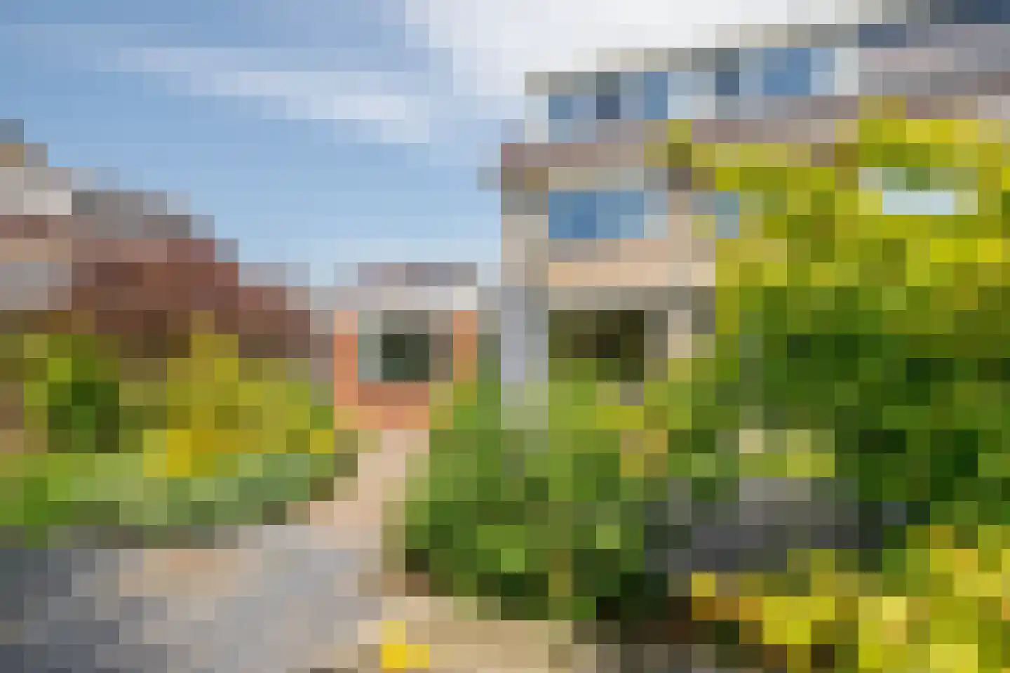 Bosveen 1 Nieuwerkerk aan den IJssel thumbnail 49