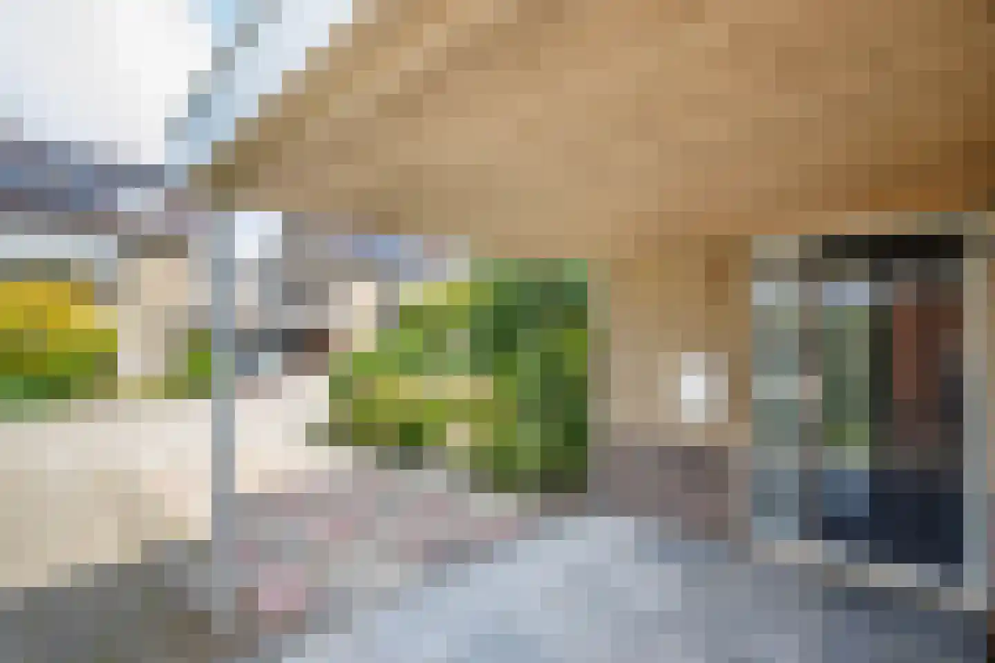 Bosveen 1 Nieuwerkerk aan den IJssel thumbnail 5