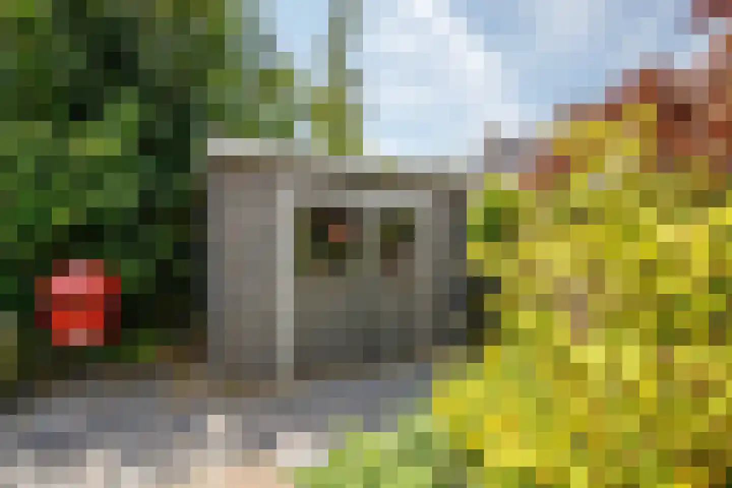 Bosveen 1 Nieuwerkerk aan den IJssel thumbnail 50