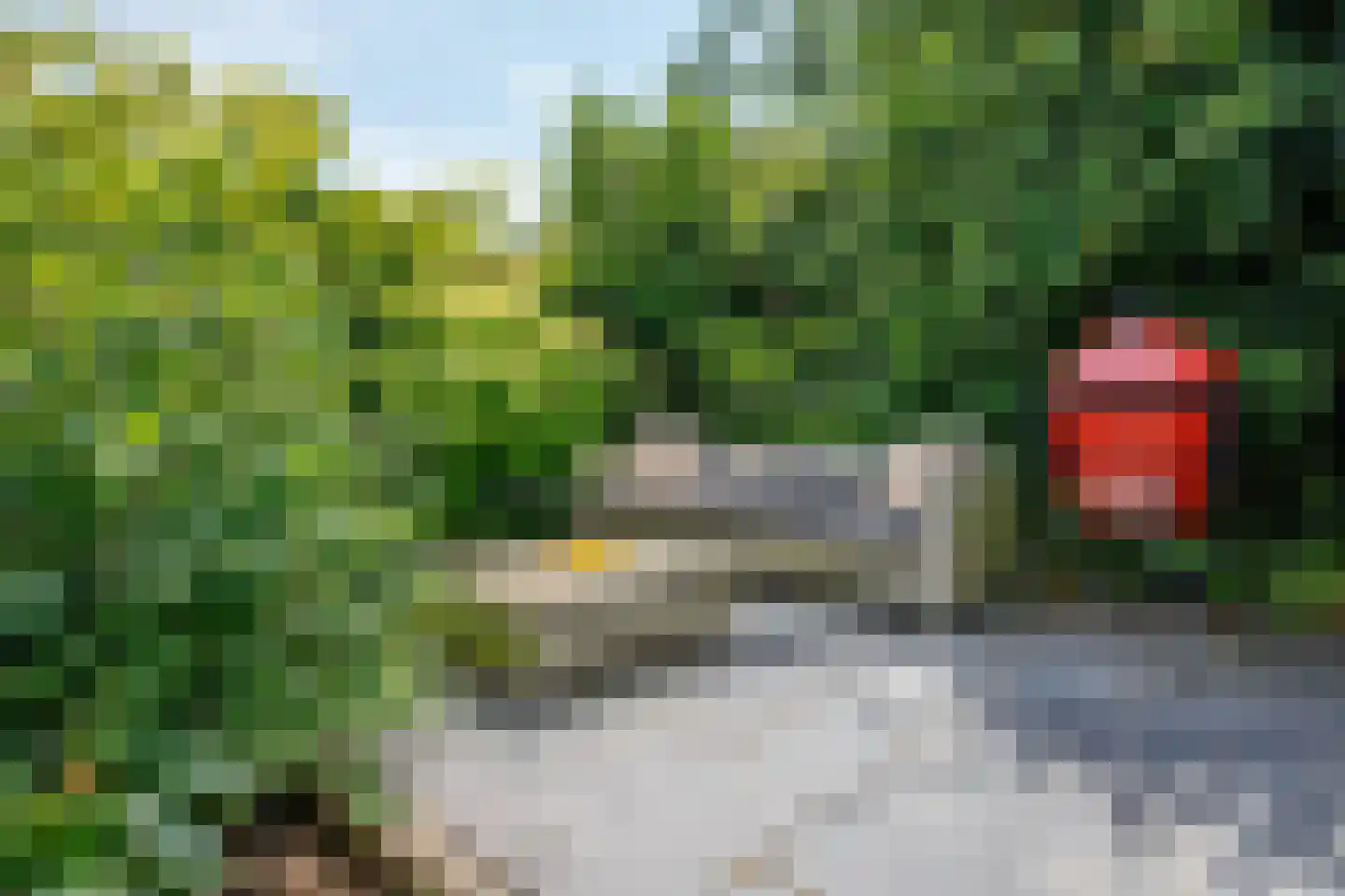 Bosveen 1 Nieuwerkerk aan den IJssel thumbnail 51