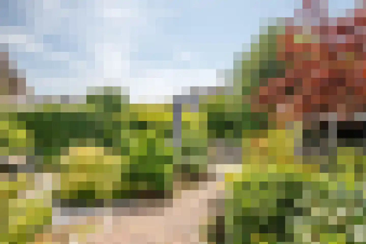 Bosveen 1 Nieuwerkerk aan den IJssel thumbnail 52