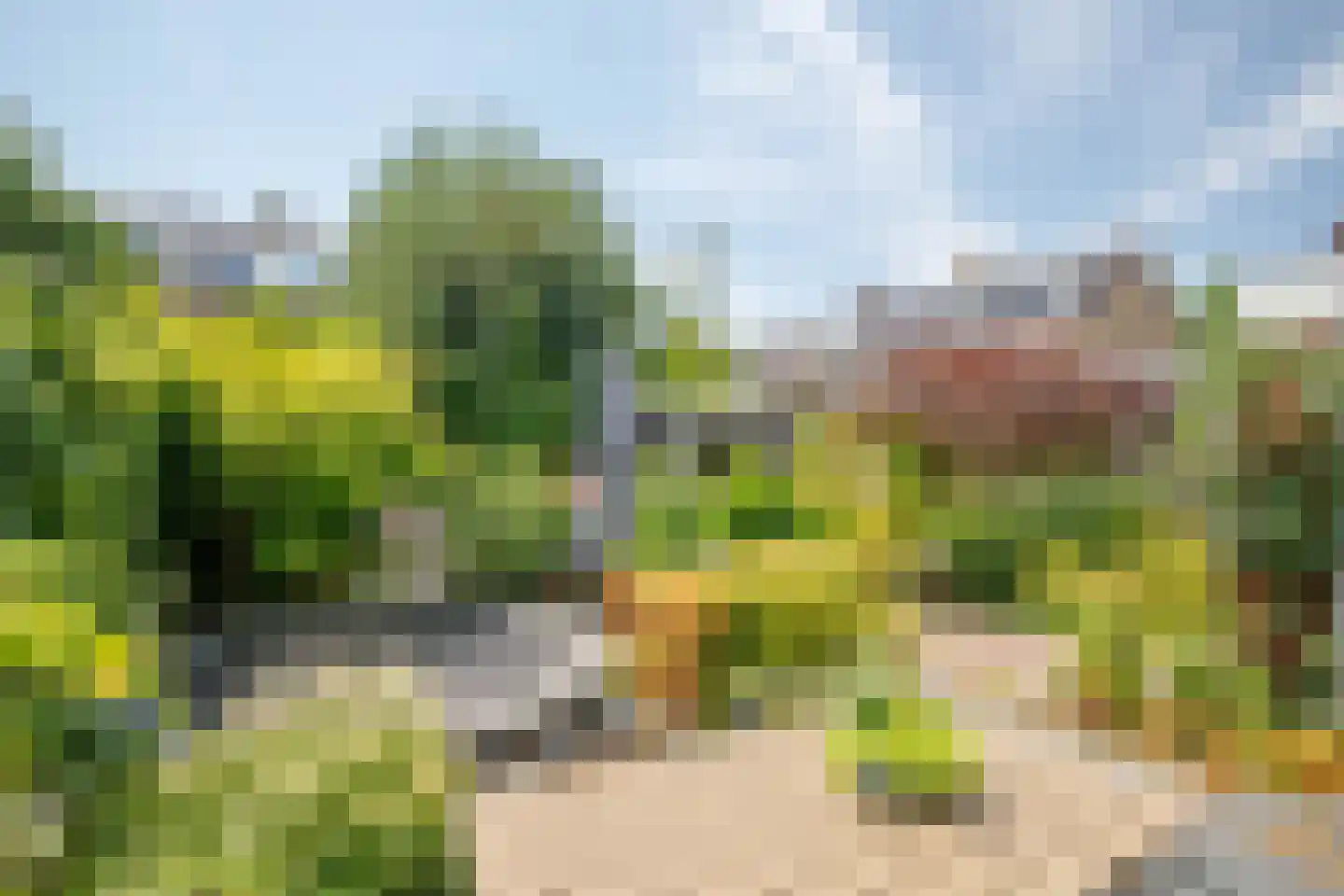 Bosveen 1 Nieuwerkerk aan den IJssel thumbnail 53