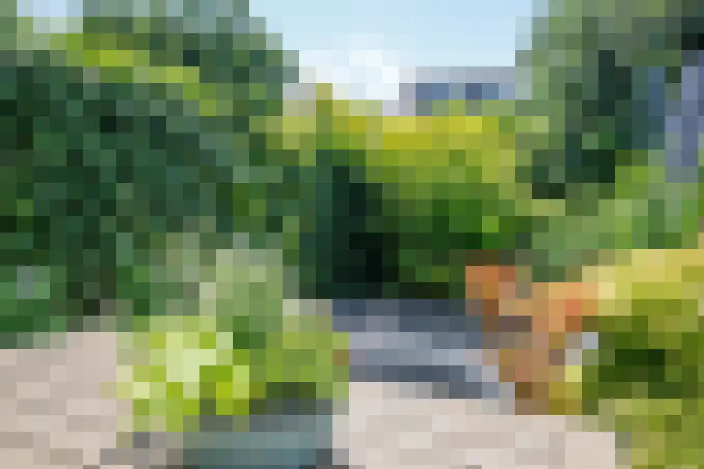 Bosveen 1 Nieuwerkerk aan den IJssel thumbnail 54