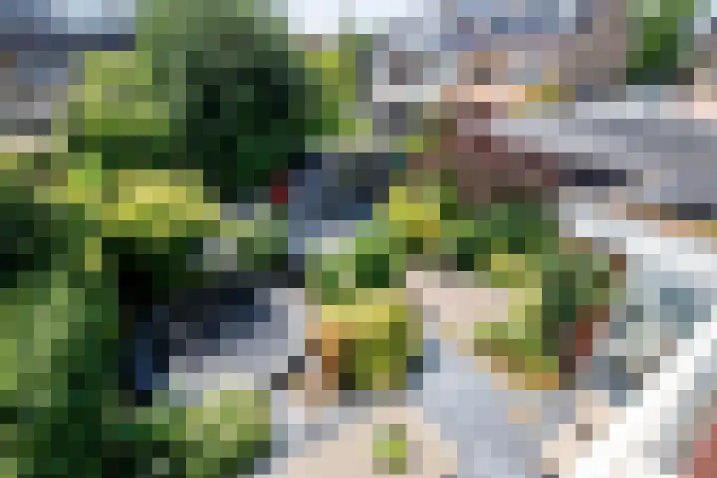 Bosveen 1 Nieuwerkerk aan den IJssel thumbnail 55