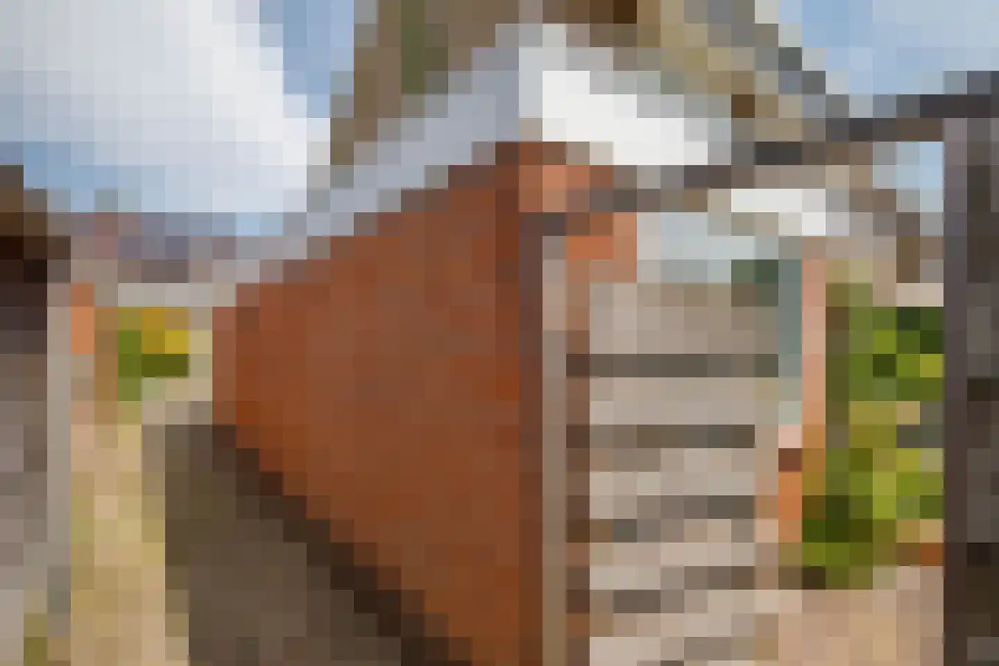 Bosveen 1 Nieuwerkerk aan den IJssel thumbnail 56
