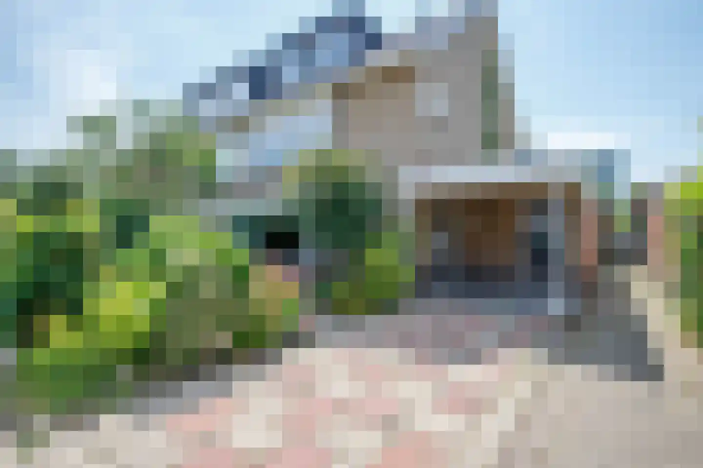 Bosveen 1 Nieuwerkerk aan den IJssel thumbnail 58