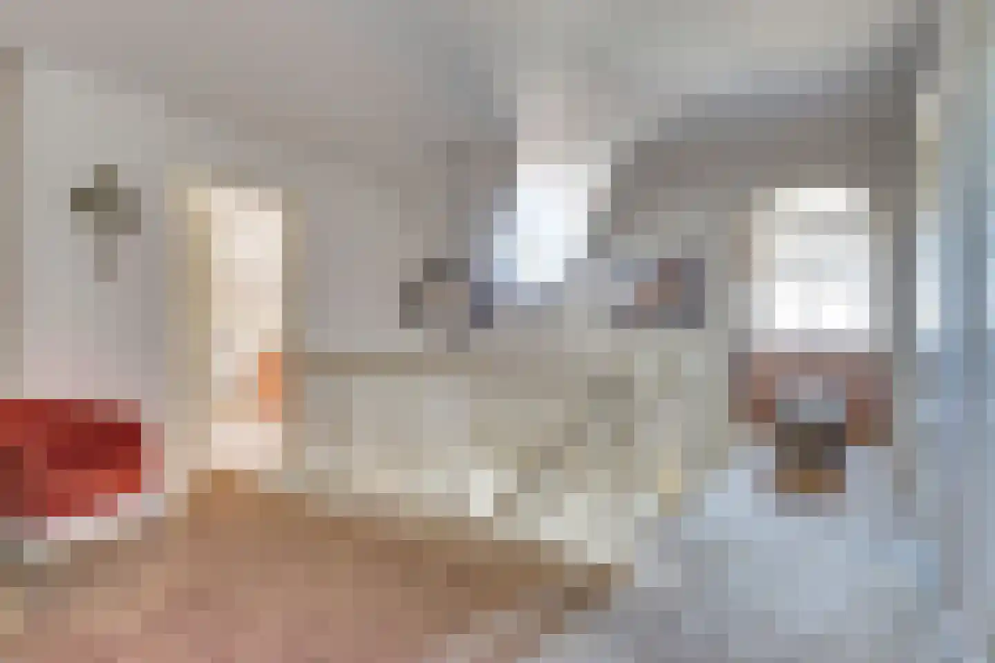 Bosveen 17 Ter Aar thumbnail 20