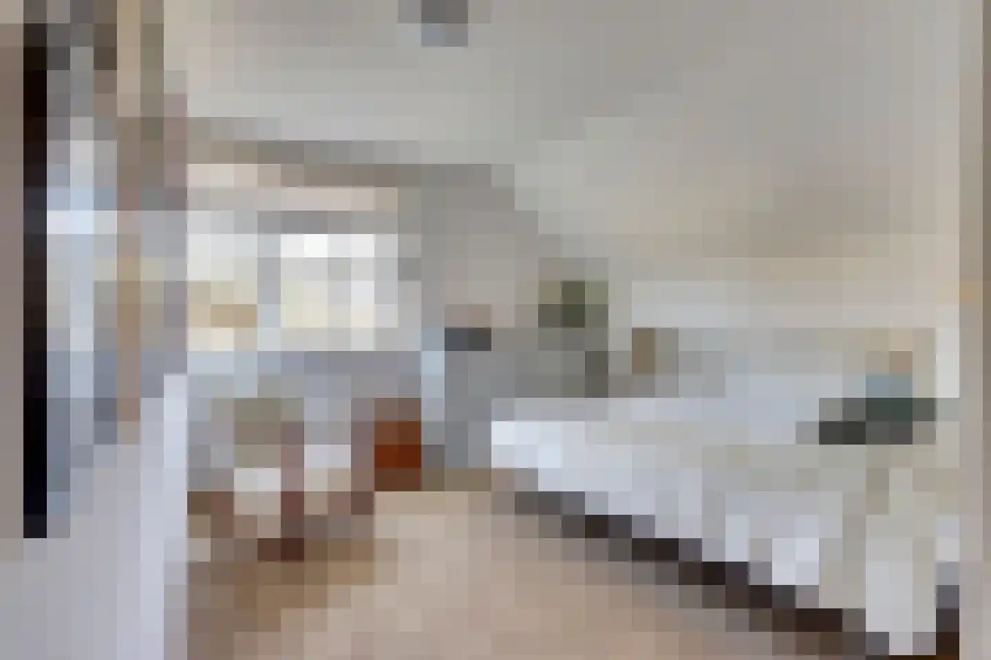 Bosveen 17 Ter Aar thumbnail 23