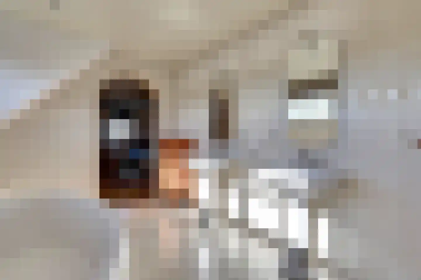 Bosveen 17 Ter Aar thumbnail 27