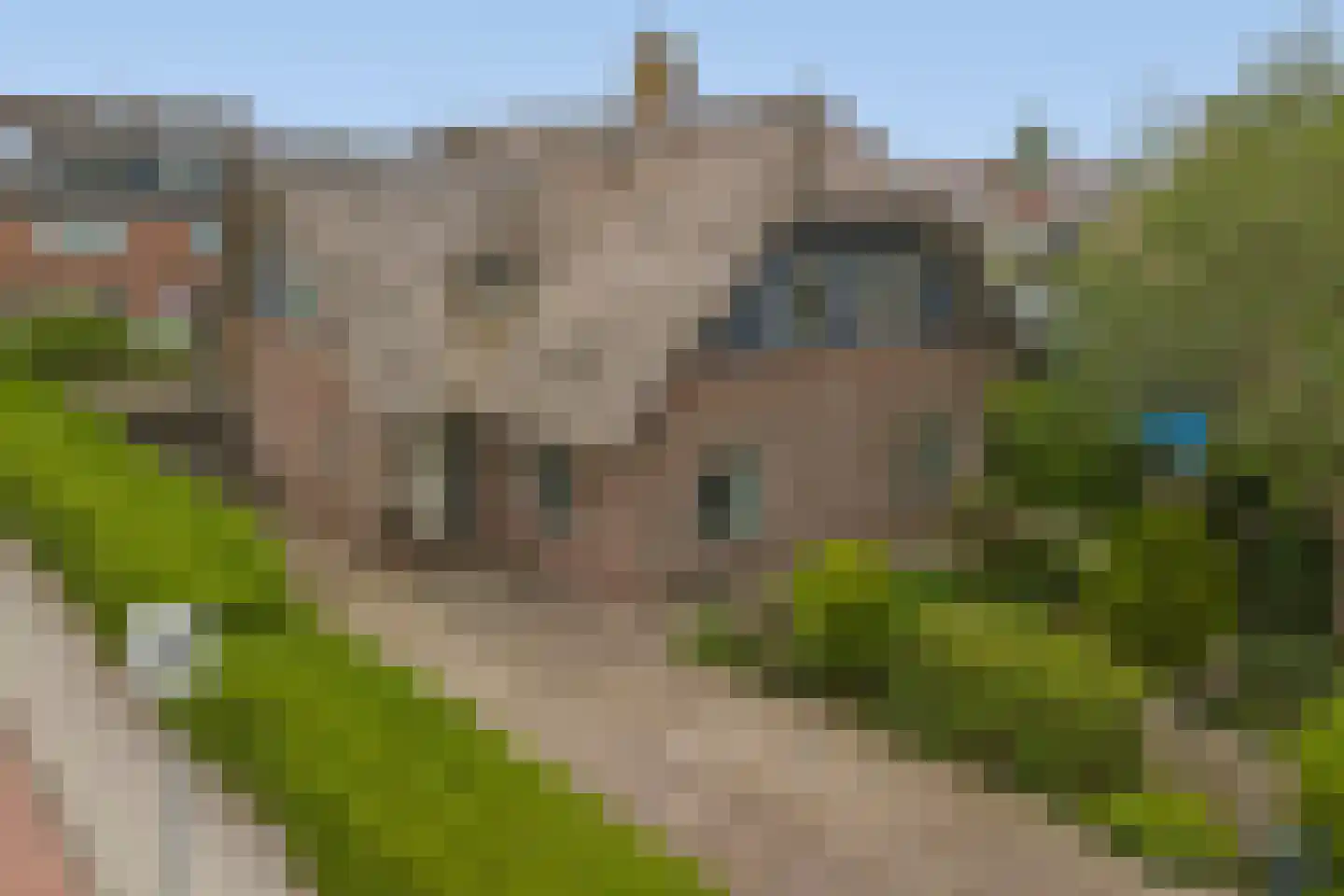 Bosveen 17 Ter Aar thumbnail 35
