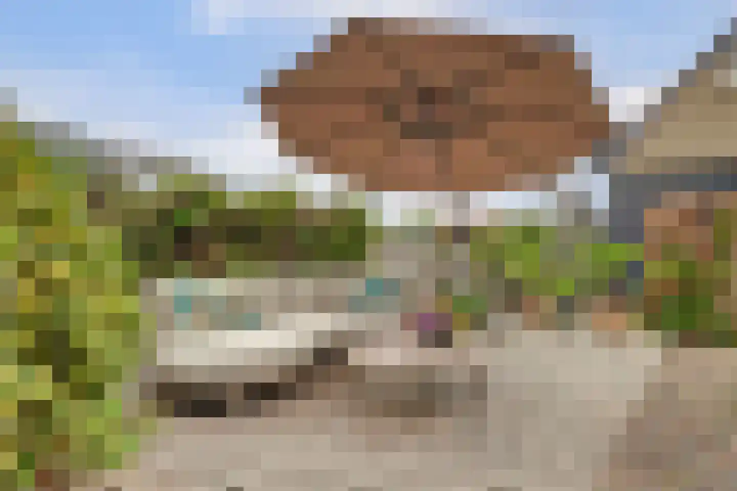 Bosveen 17 Ter Aar thumbnail 36