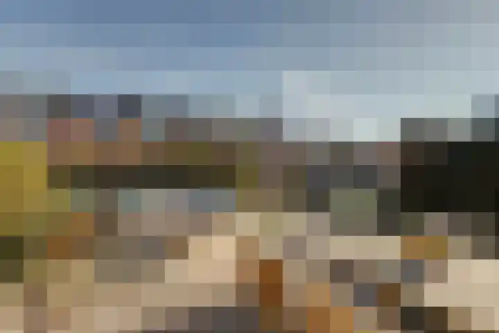 Bosveen 17 Ter Aar thumbnail 37