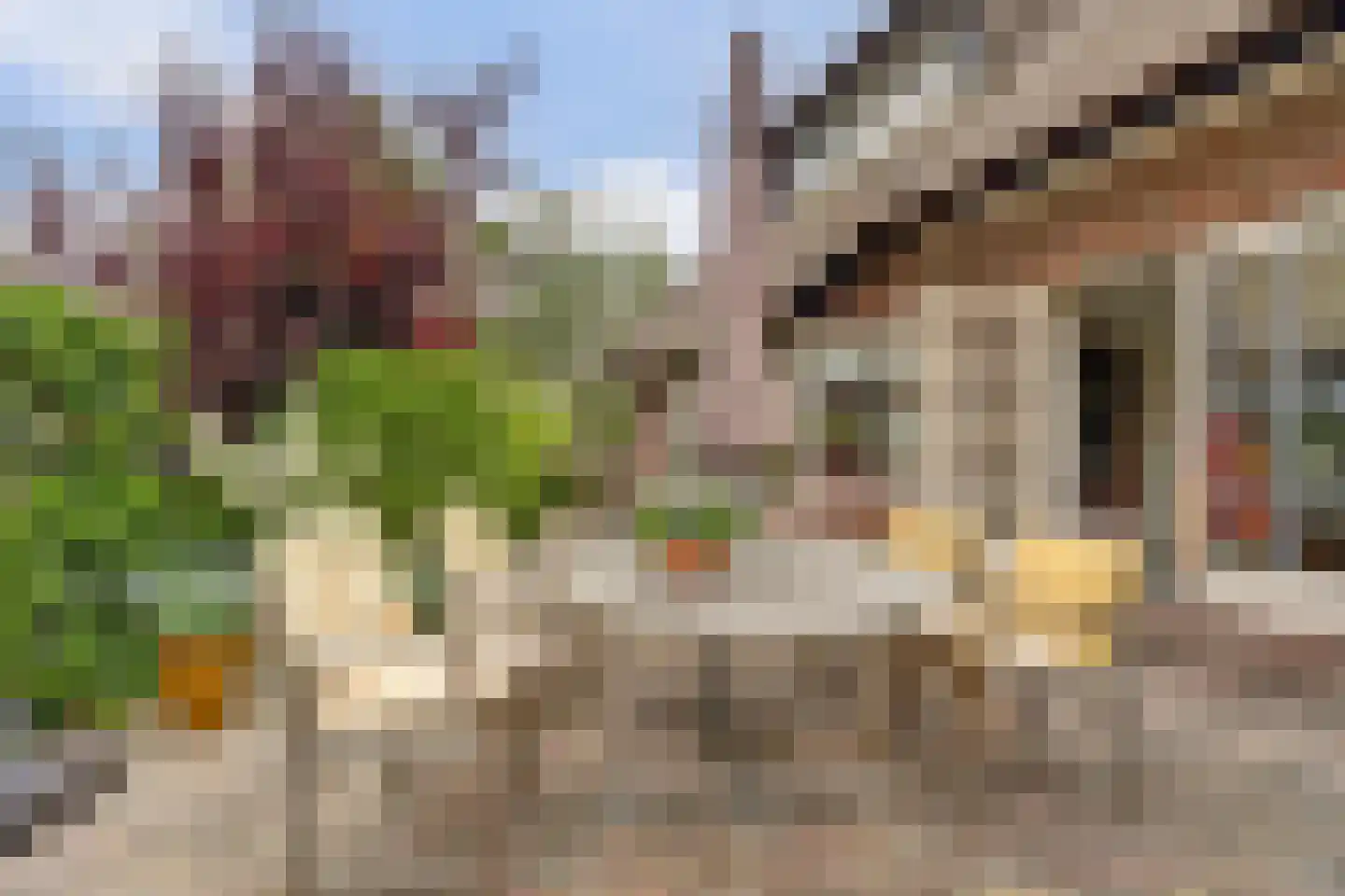 Bosveen 17 Ter Aar thumbnail 37