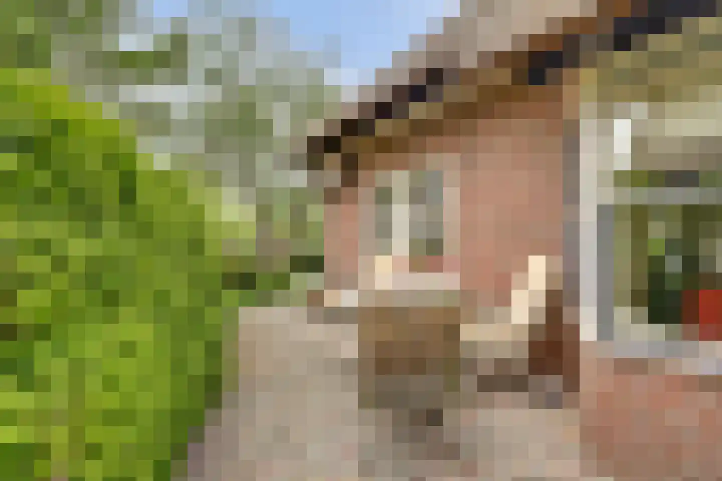 Bosveen 17 Ter Aar thumbnail 38