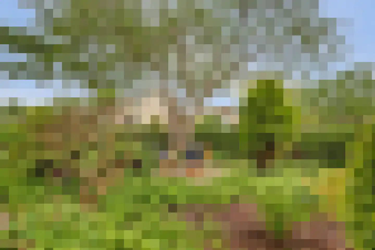 Bosveen 17 Ter Aar thumbnail 39
