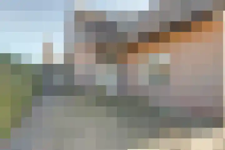 Bosveen 17 Ter Aar thumbnail 40