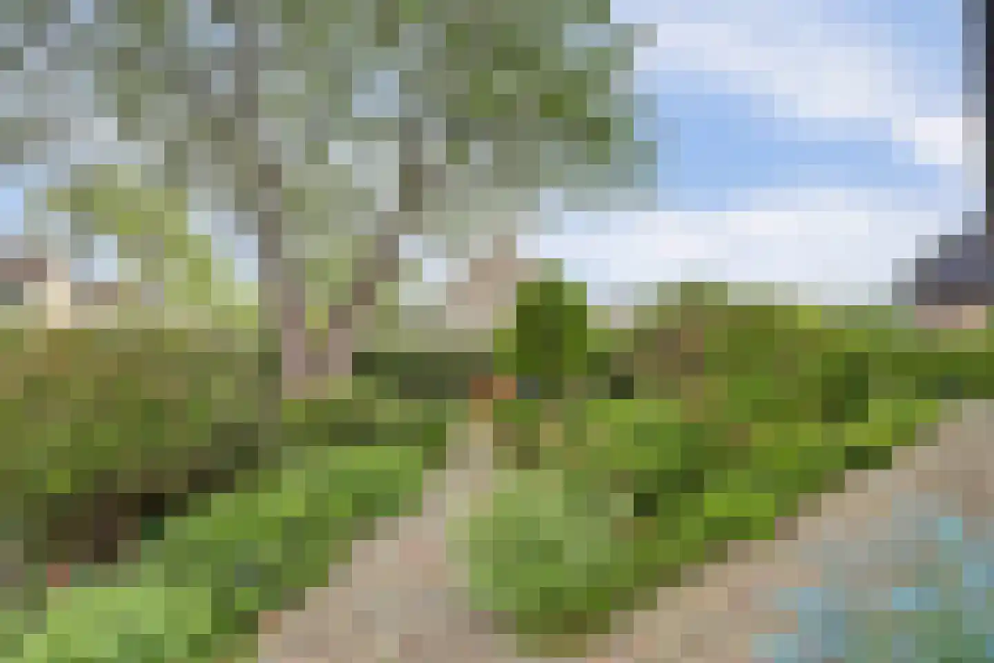 Bosveen 17 Ter Aar thumbnail 40
