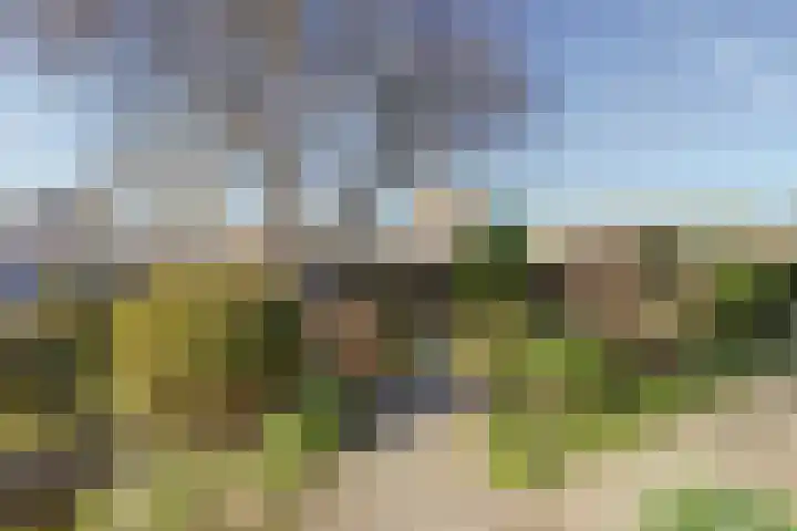 Bosveen 17 Ter Aar thumbnail 41