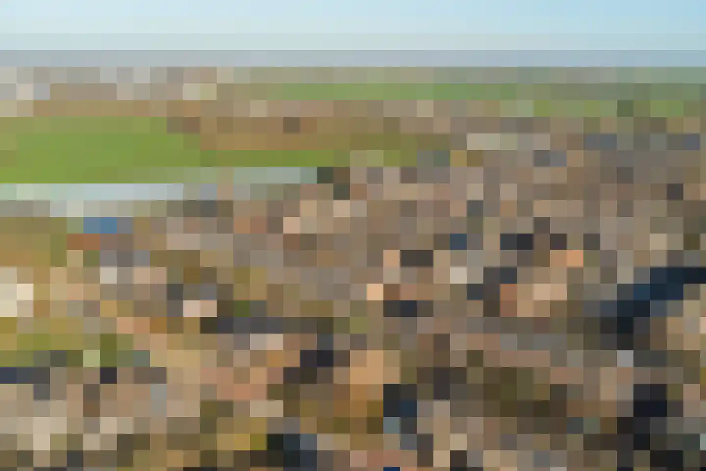 Bosveen 17 Ter Aar thumbnail 42