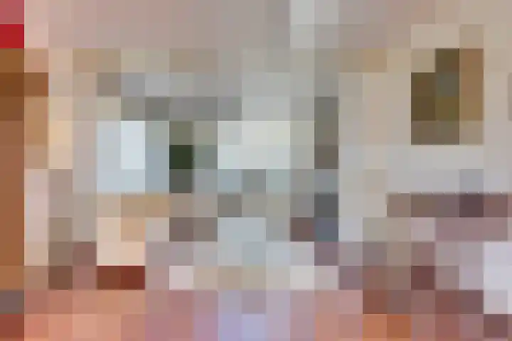 Bosveen 17 Ter Aar thumbnail 9
