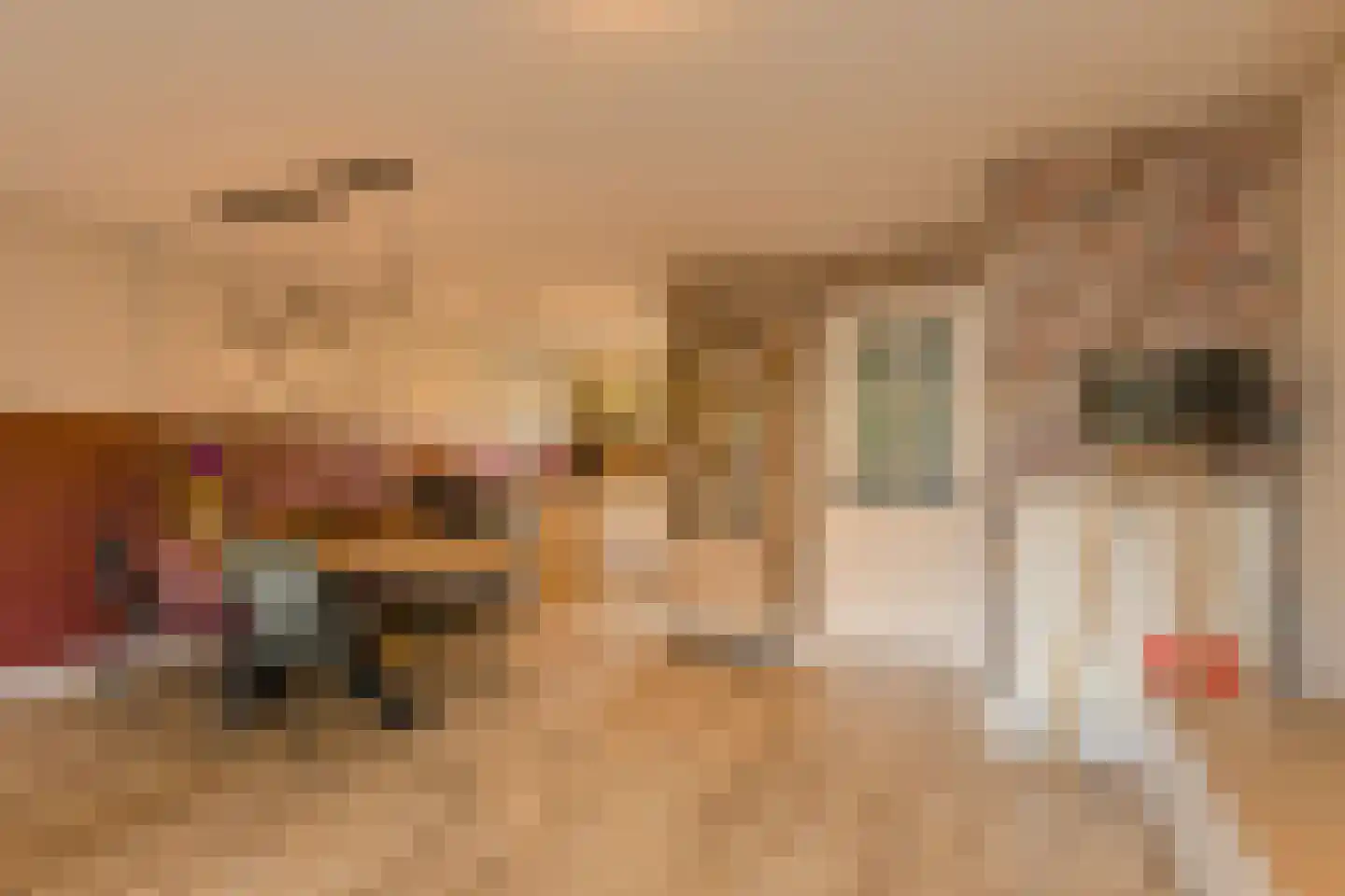 Bosveen 18 Breda thumbnail 10