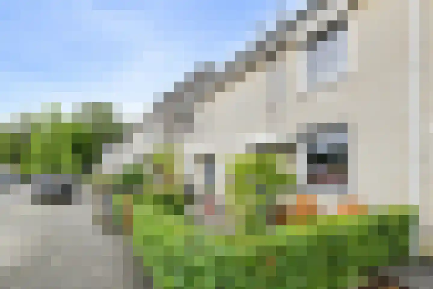 Bosveen 18 Breda thumbnail 44