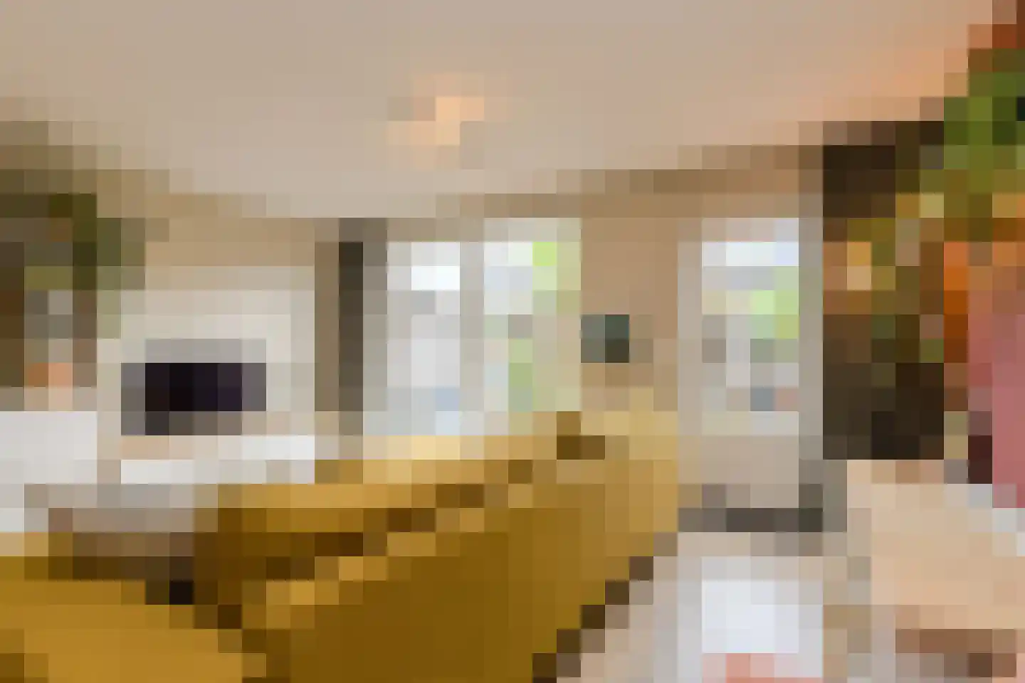 Bosveen 18 Breda thumbnail 5