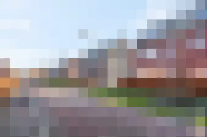 Bosveen 19 Ede thumbnail 50