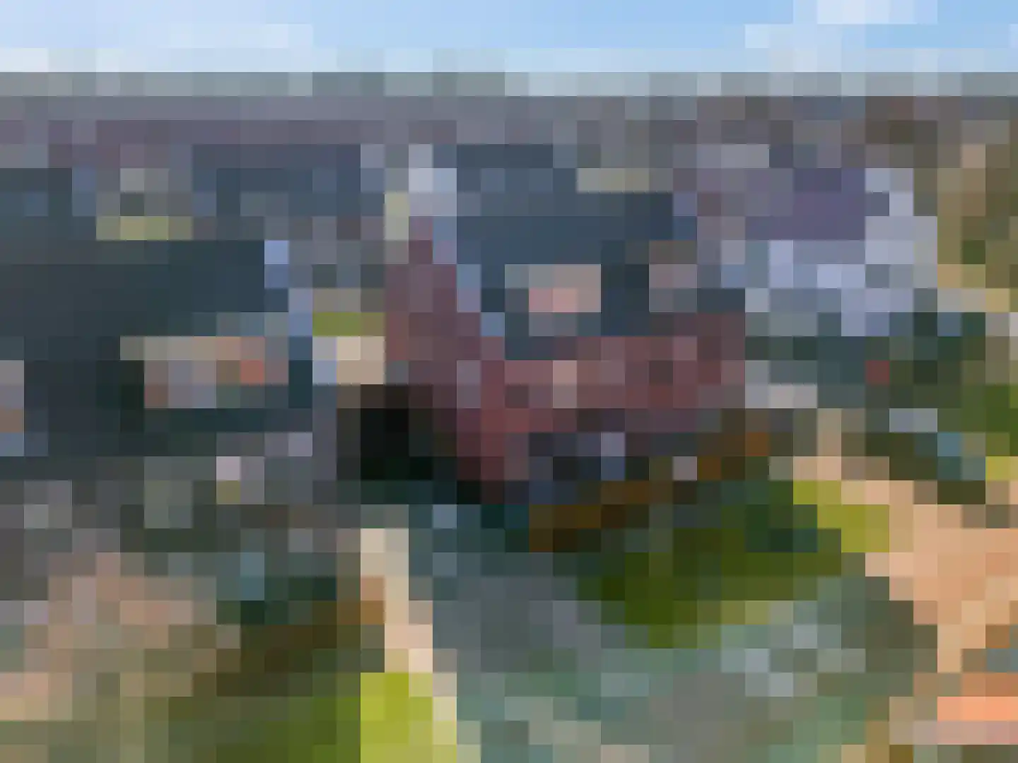 Bosveen 19 Ede thumbnail 51