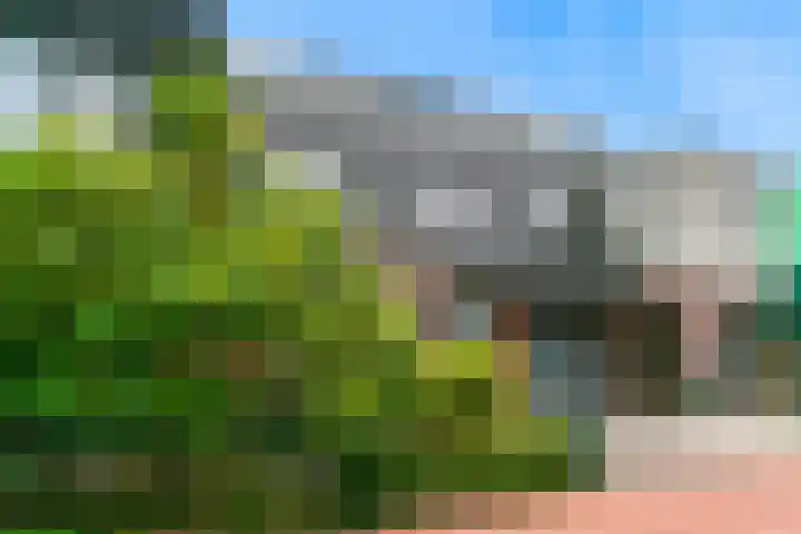 Bosveen 19 Ede thumbnail 9